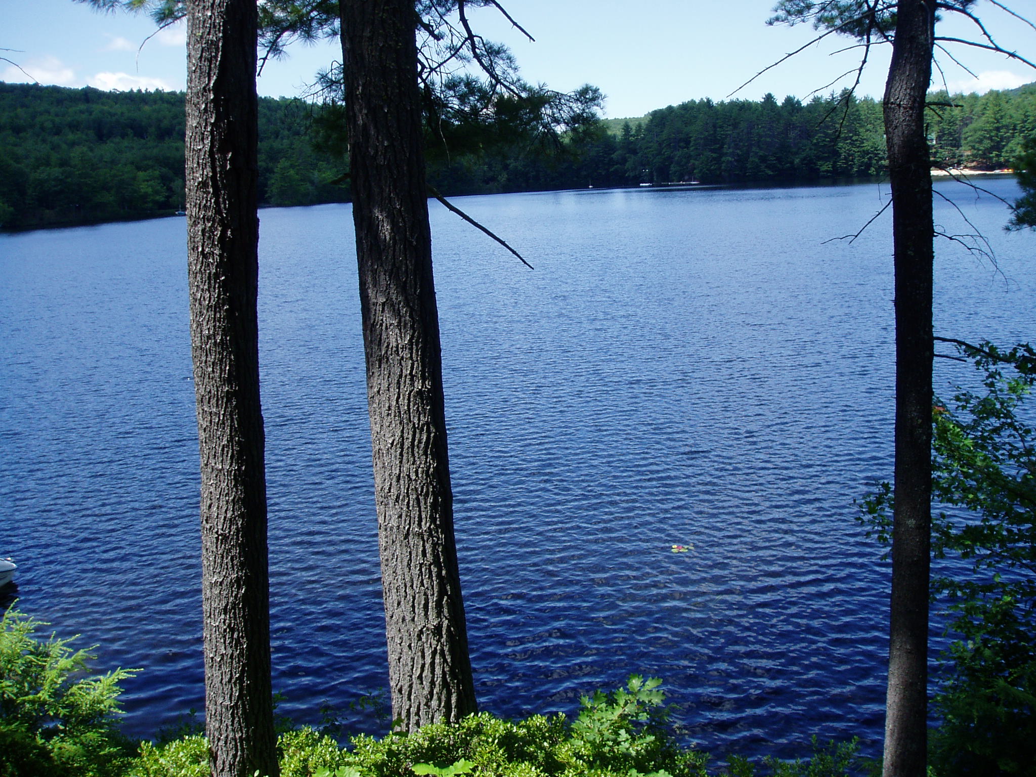 pic of Stanley Pond